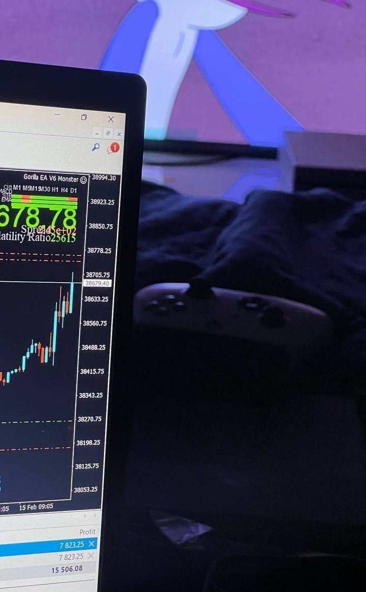 Gorilla EA V6 - Metatrader 4 - PMotive