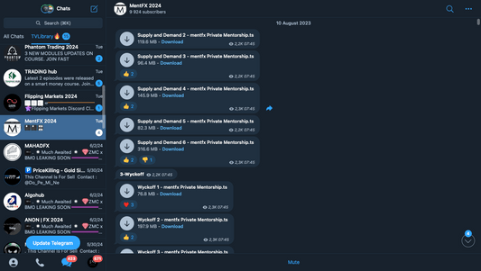 MentFX Mentorship 2024 - PMotive