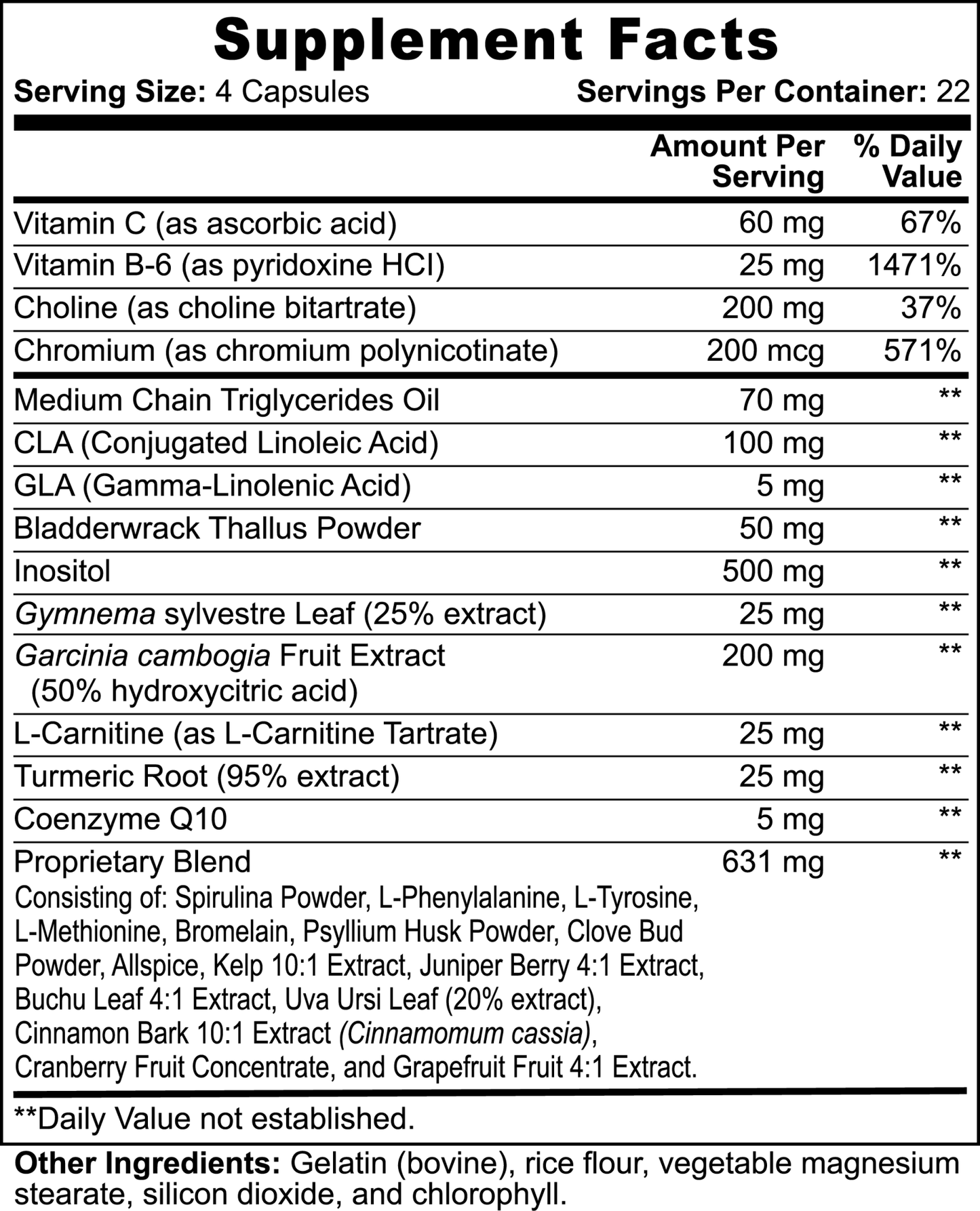 PMotive: Fat Burner with MCT - PMotive