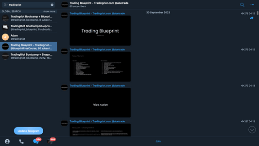 Tradingriot Bootcamp + Blueprint 3.0 Full Courses - PMotive