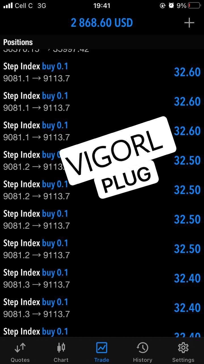 VigoRL V75 EA - Metatrader 5 - PMotive