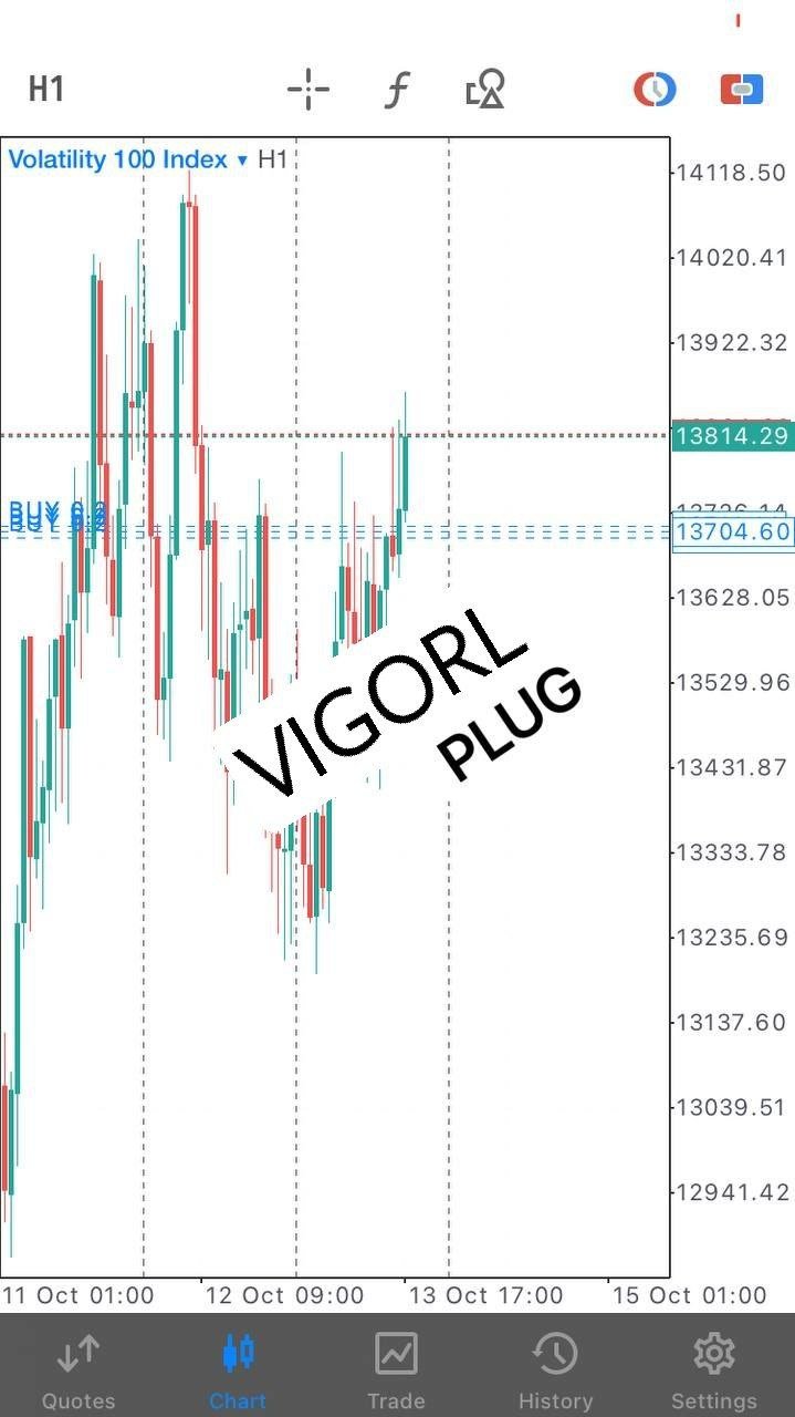VigoRL V75 EA - Metatrader 5 - PMotive