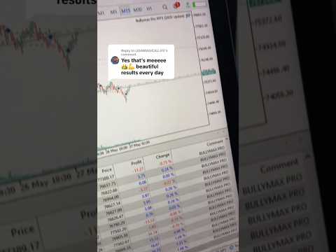 Bullymax Pro client results video and MT5 verification checklist