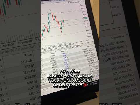 Bullymax Pro and VigoRL Deriv portfolio risk video on MT5