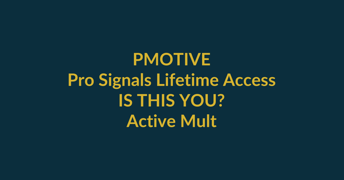 Pro Signals Lifetime Access buyer-match scorecard for active multi-market trader evaluating PMotive product fit before checkout