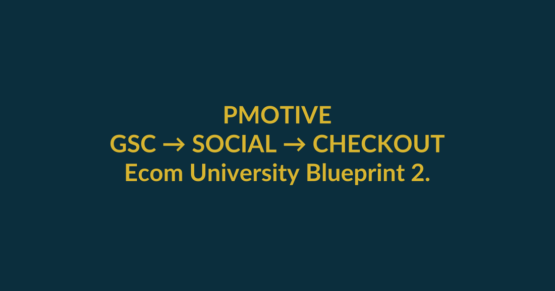 Ecom University Blueprint 2.0 high-intent search guide for dropshipping university, linking PMotive social verification to website checkout