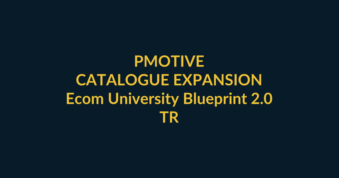 Ecom University Blueprint 2.0 PMotive purchase-scenario guide for new ecommerce founders who want a sequenced store-building blueprint, with social verification and direct product CTA