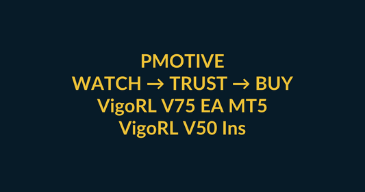 VigoRL V75 EA MT5 watch-to-buy guide using Instagram video proof and a direct PMotive website checkout path