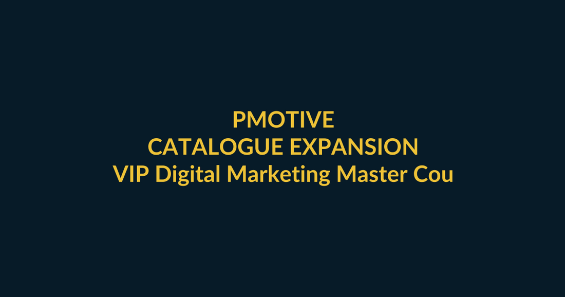 VIP Digital Marketing Master Course PMotive purchase-scenario guide for marketers needing a broad skills roadmap before specialising, with social verification and direct product CTA