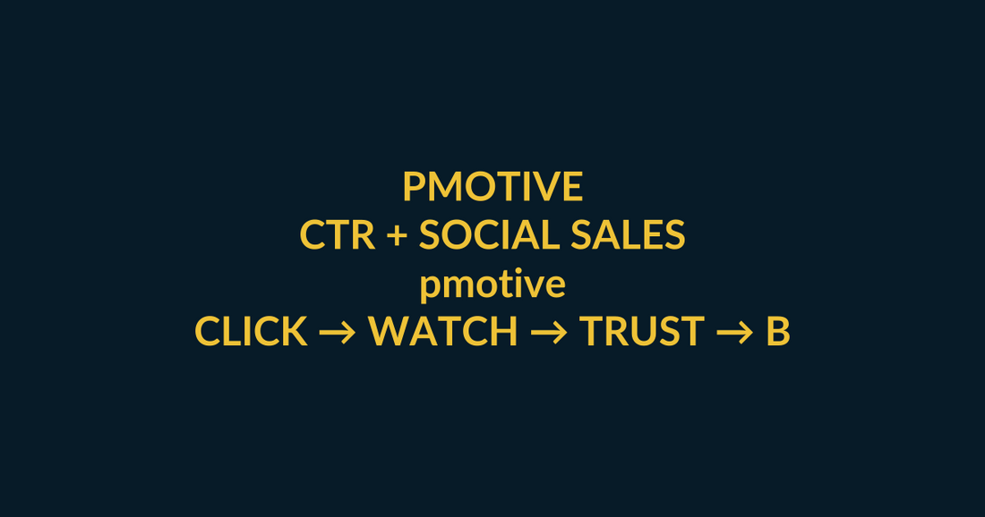 PMotive Store high-CTR buyer guide for pmotive, connecting Google search, PMotive social proof and website checkout
