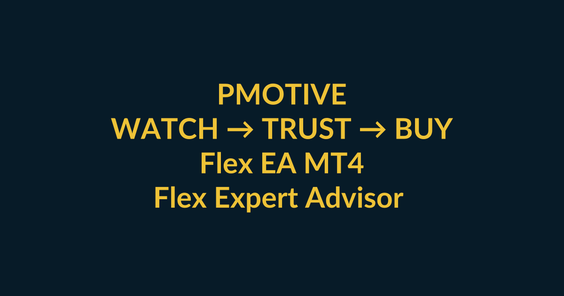 Flex EA MT4 watch-to-buy guide using YouTube video proof and a direct PMotive website checkout path