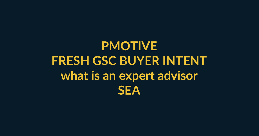 PMotive Expert Advisors buyer guide for the Google query what is an expert advisor, linking PMotive social trust to the relevant website offer