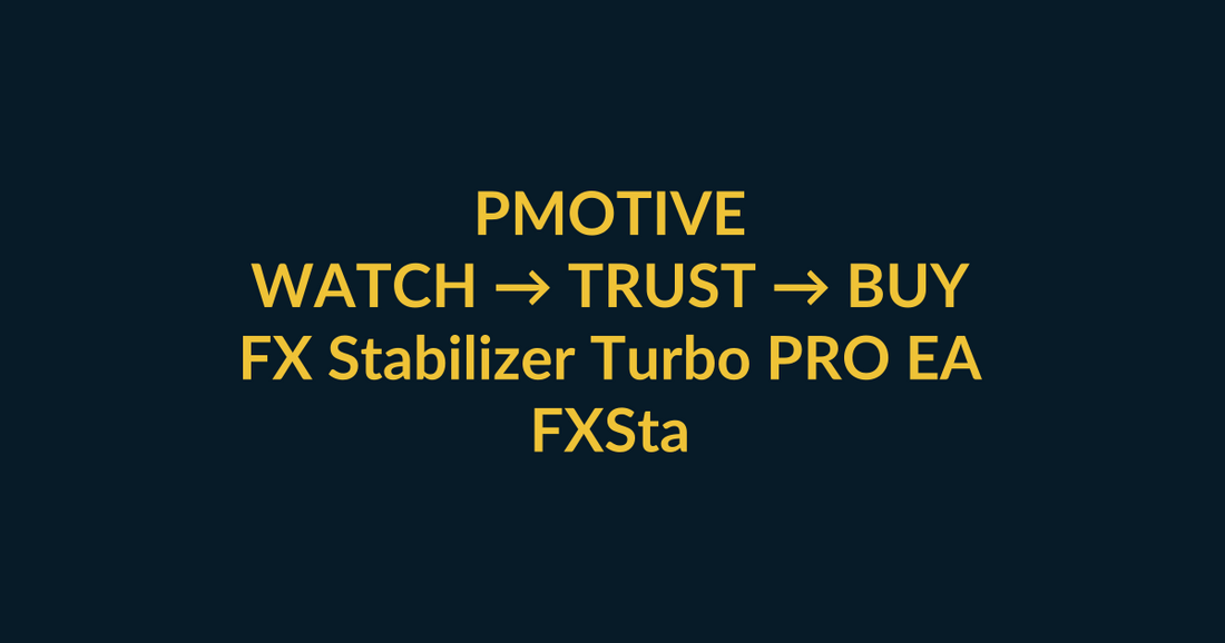 FX Stabilizer Turbo PRO EA watch-to-buy guide using YouTube video proof and a direct PMotive website checkout path