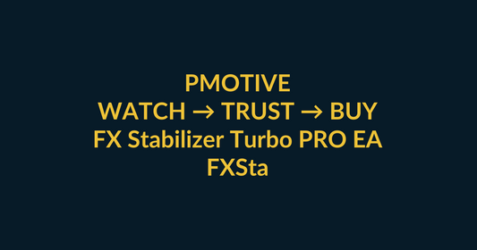 FX Stabilizer Turbo PRO EA watch-to-buy guide using YouTube video proof and a direct PMotive website checkout path