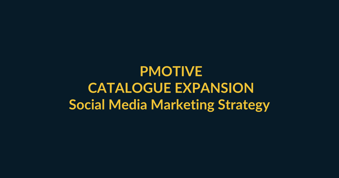 Social Media Marketing Strategy Course PMotive purchase-scenario guide for business owners building a planned multi-channel social media system, with social verification and direct product CTA