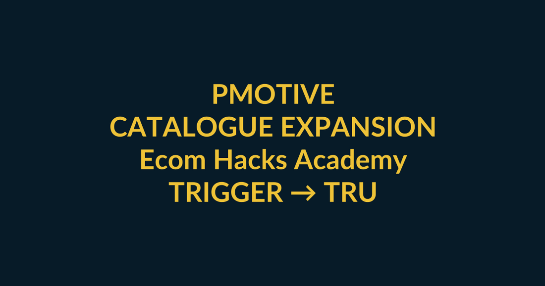 Ecom Hacks Academy PMotive purchase-scenario guide for store owners looking for an organised ecommerce optimisation roadmap, with social verification and direct product CTA
