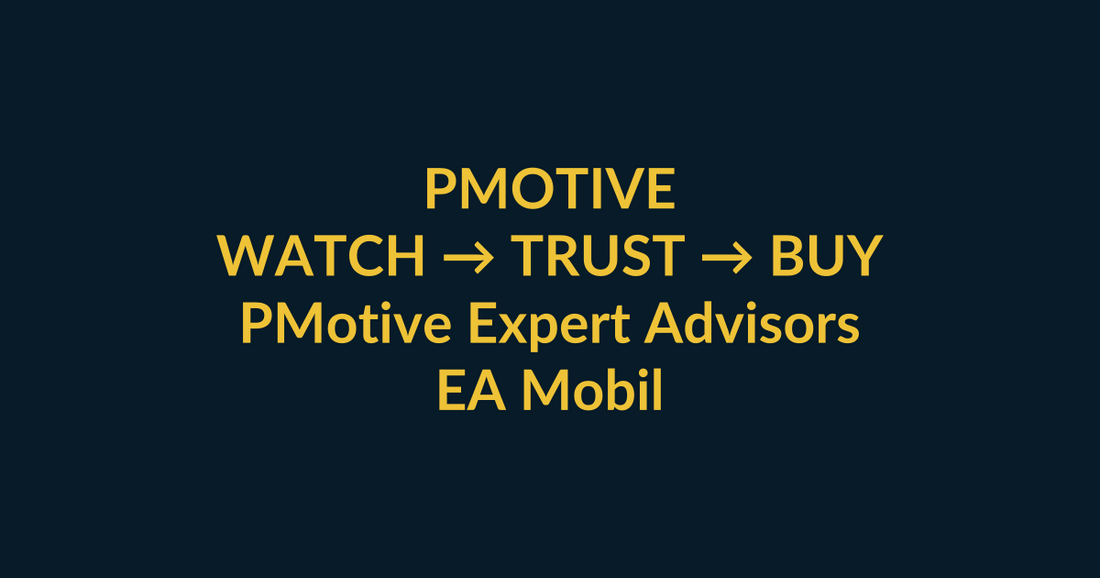 PMotive Expert Advisors watch-to-buy guide using TikTok video proof and a direct PMotive website checkout path