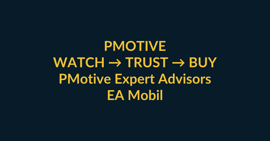 PMotive Expert Advisors watch-to-buy guide using TikTok video proof and a direct PMotive website checkout path