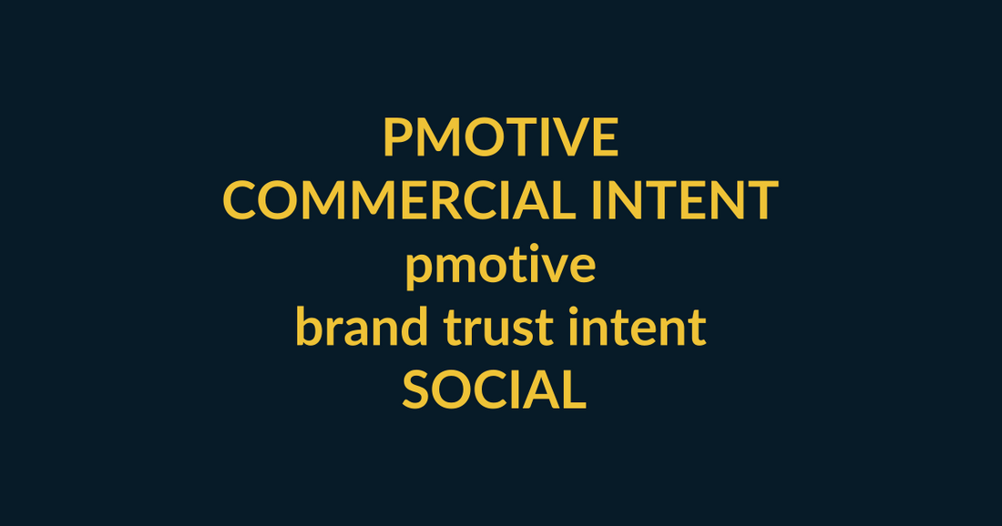 PMotive Store commercial-intent buyer guide for pmotive covering brand trust intent, PMotive social verification and checkout