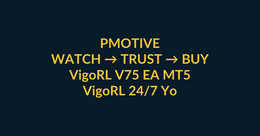 VigoRL V75 EA MT5 watch-to-buy guide using YouTube video proof and a direct PMotive website checkout path