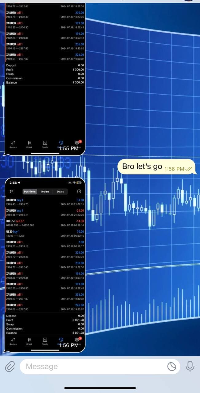 Pip Club EA V2 for MetaTrader 4 Forex automation product gallery image 4