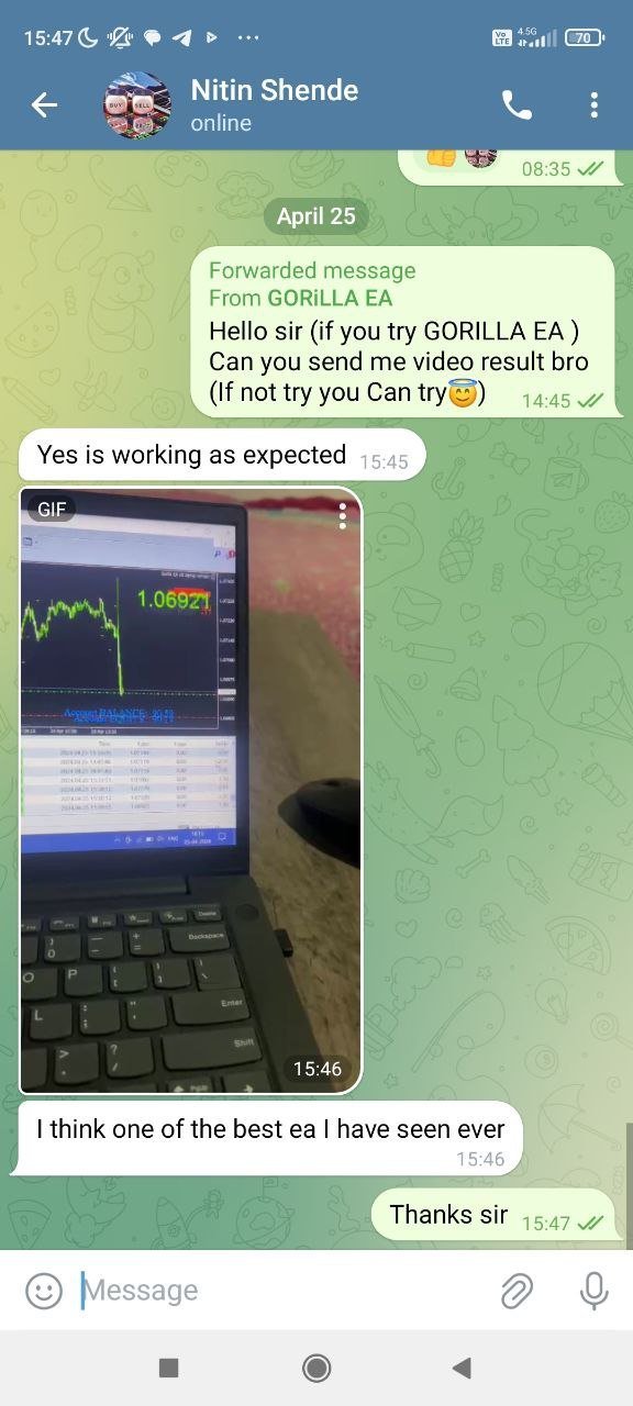 Gorilla EA V6 for MetaTrader 4 Forex automation product gallery image 5