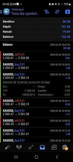 Gorilla EA V5 for MetaTrader 4 Forex automation product gallery image 4