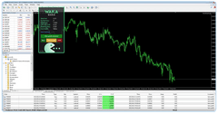 Waka Waka EA for MetaTrader 4 automated Forex trading product gallery image 3