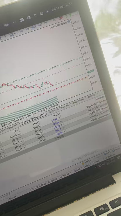 VigoRL V75 EA - Metatrader 5 （2025年更新版）