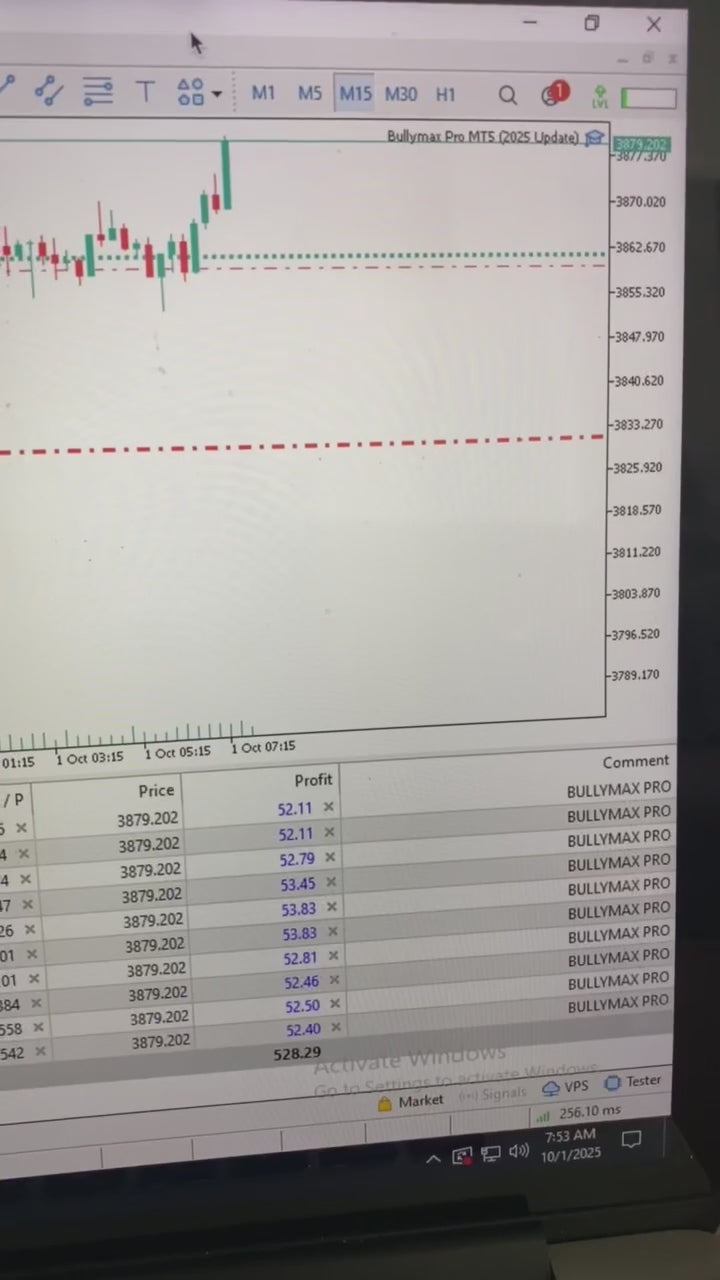 Bullymax Pro Gold Edition for MetaTrader 5 (MT5) - PMotive