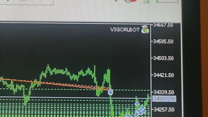 VigoRL V75 EA - Metatrader 5