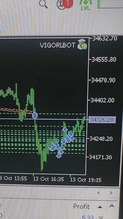 VigoRL V75 EA - Metatrader 5 - PMotive