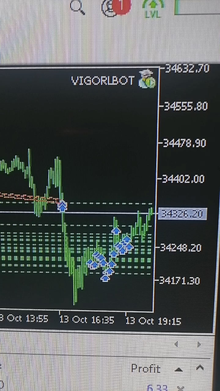 VigoRL V75 EA - Metatrader 5 - PMotive