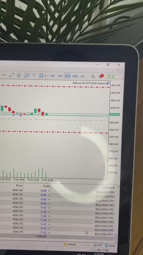 Bullymax Pro Gold Edition for MetaTrader 5 (MT5) - PMotive