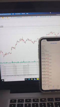 Bullymax Pro Gold Edition for MetaTrader 5 (MT5) - PMotive