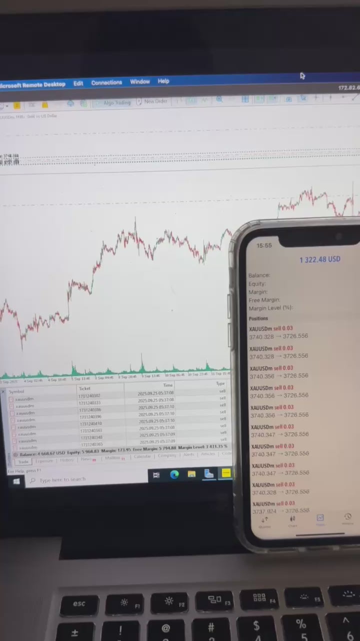 Bullymax Pro Gold Edition for MetaTrader 5 (MT5) - PMotive