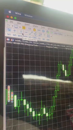 Deriv Hedger Pro HFT - PMotive