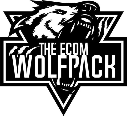 The Ecom Wolf Pack – Dropshipping To Branding Full Course - PMotive