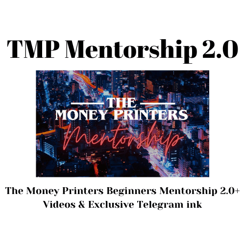 The Money Printers Beginners Mentorship 2.0 - PMotive
