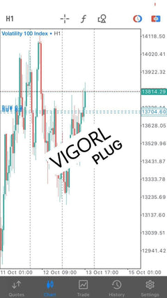 VigoRL V75 EA for Deriv MT5 synthetic indices trading product gallery image 5