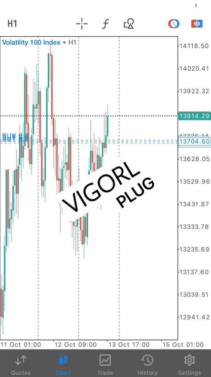 VigoRL V75 EA - Metatrader 5 - PMotive